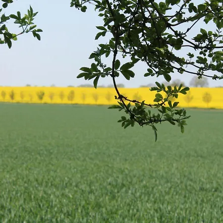 Schoenes Am In * Rerik