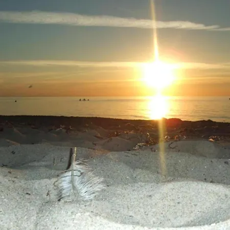 Schoenes Am In Rerik